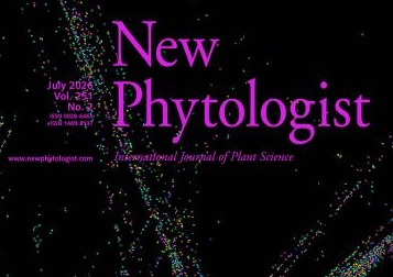 nph_251-2-web.jpg