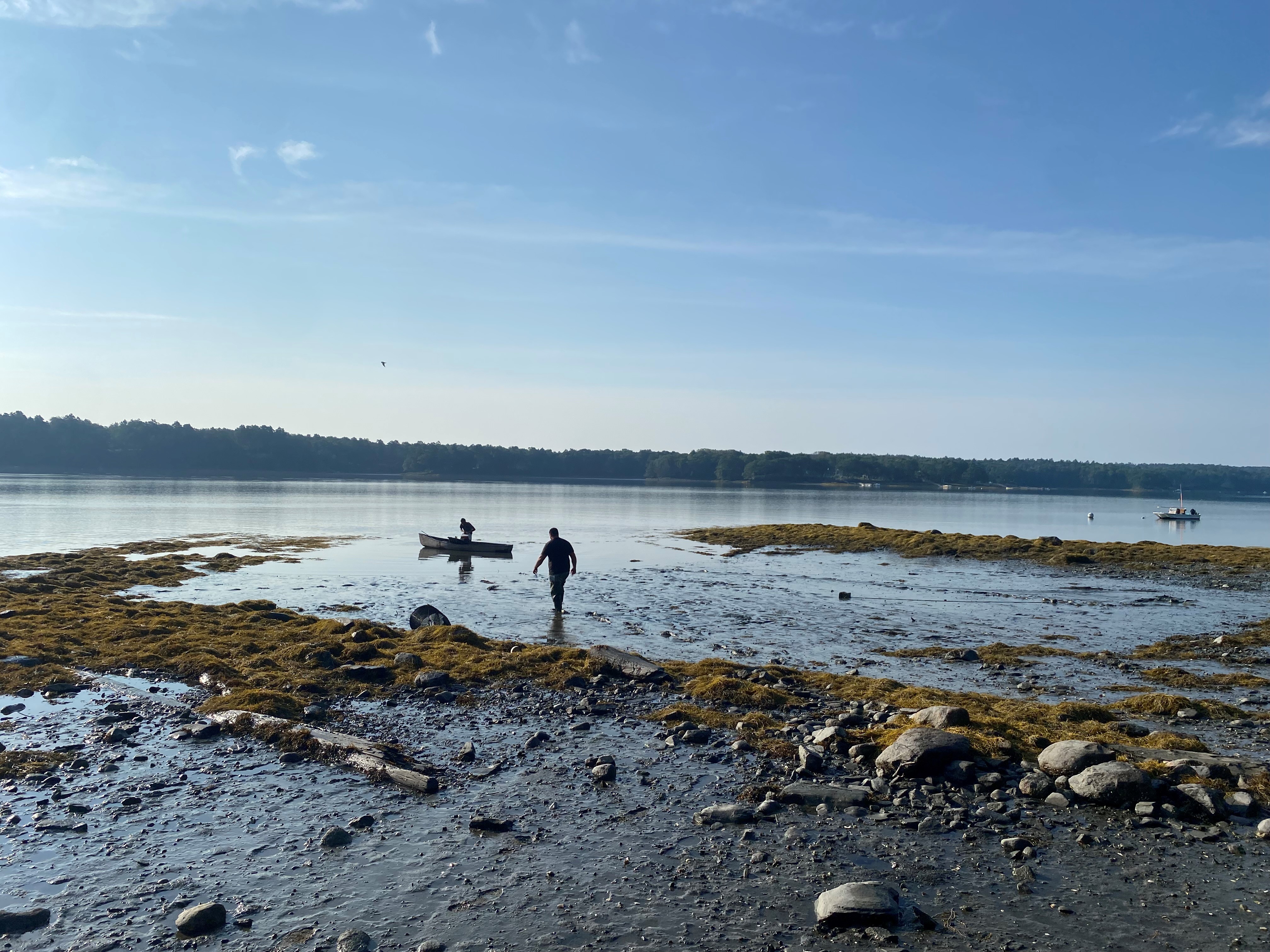 shellfish