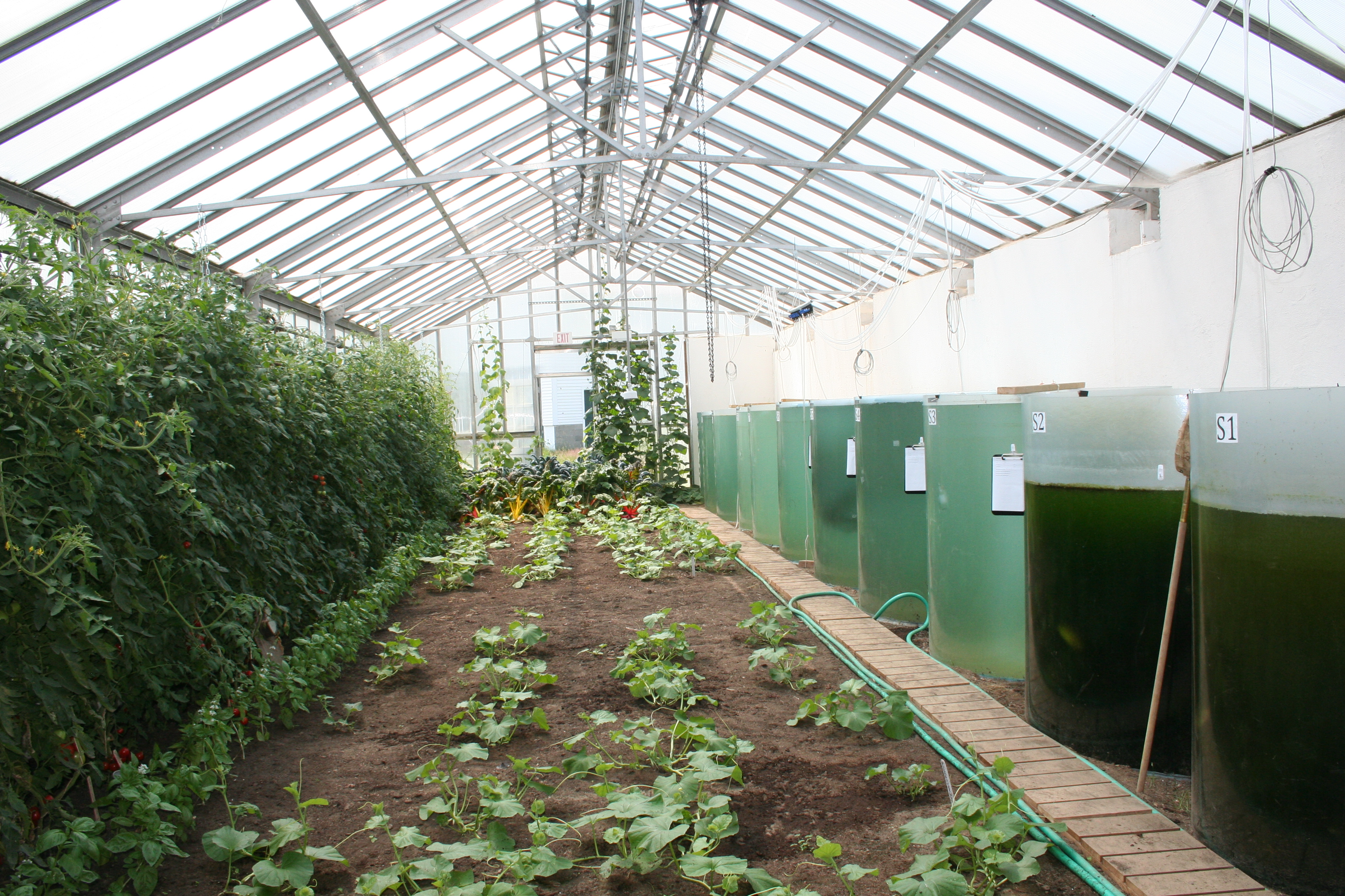 The Greenhouse